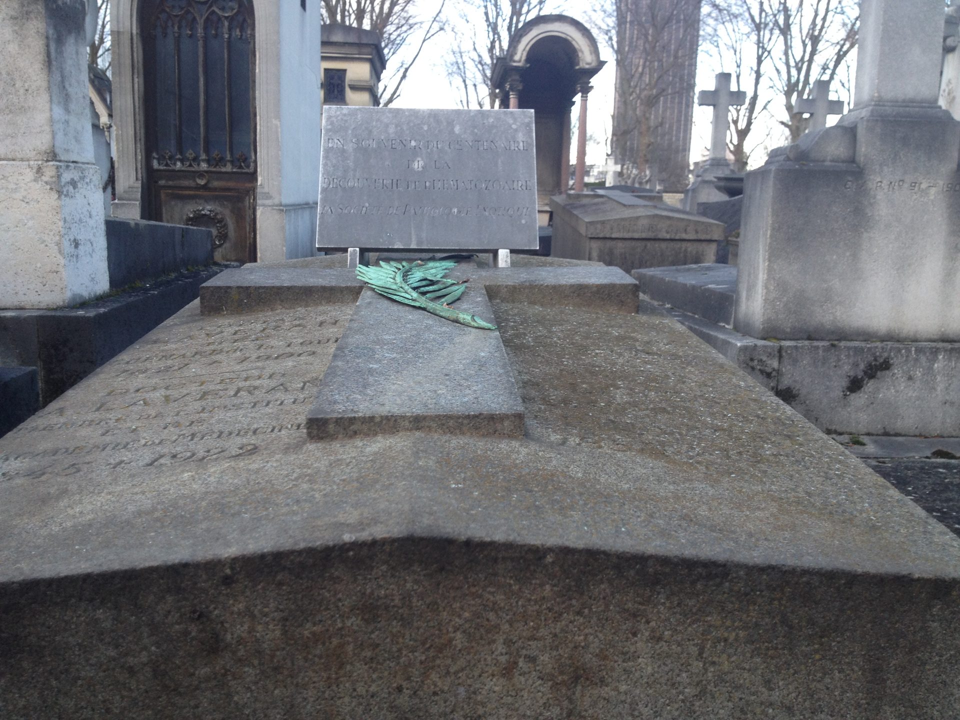 Charles Louis Alphonse Laveran's tomb (4).JPG